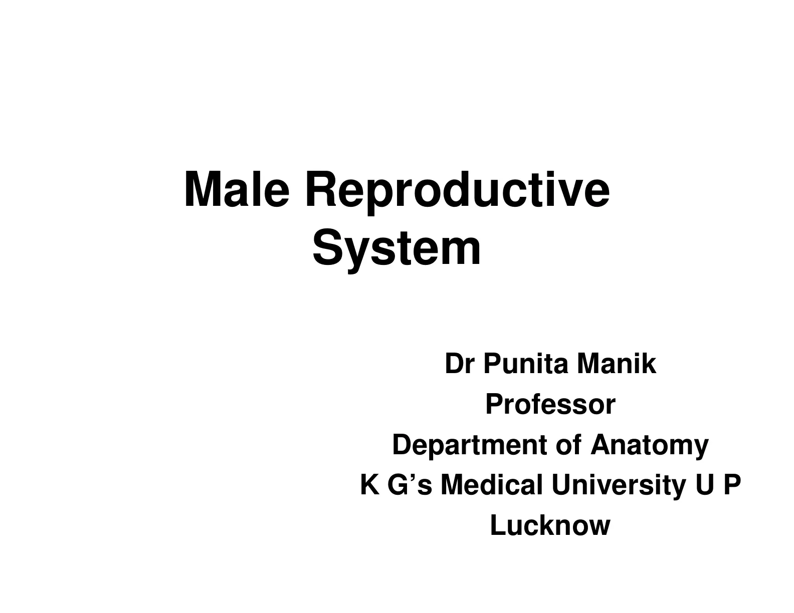 غلاف تقرير Male Reproductive System