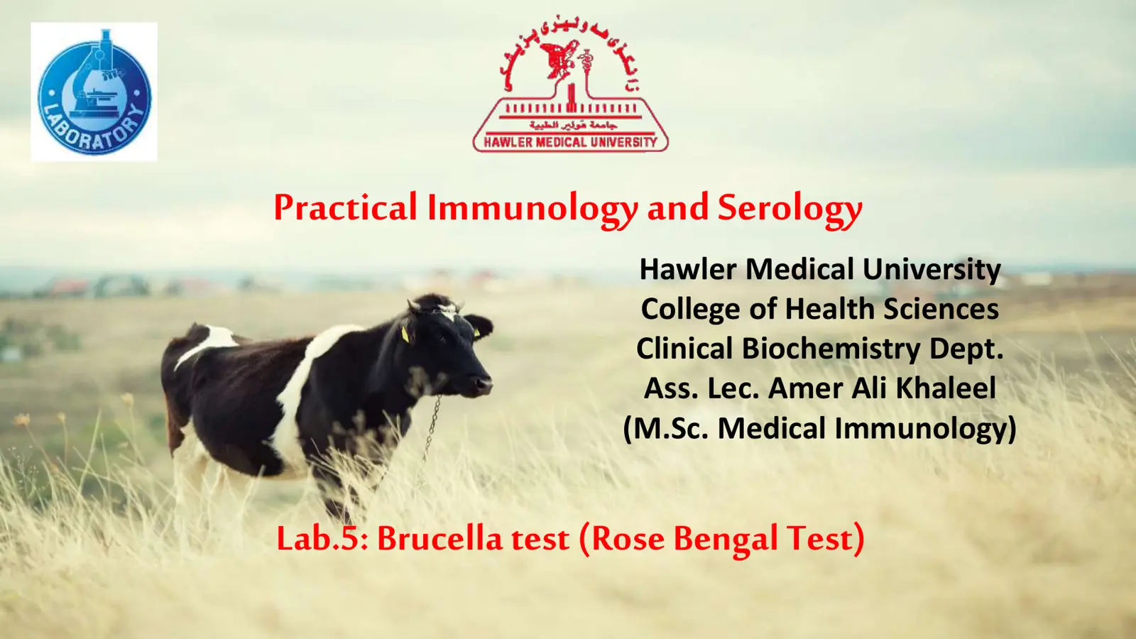 غلاف تقرير Practical Immunology and Serology - Lab.5: Brucella test (Rose Bengal Test)