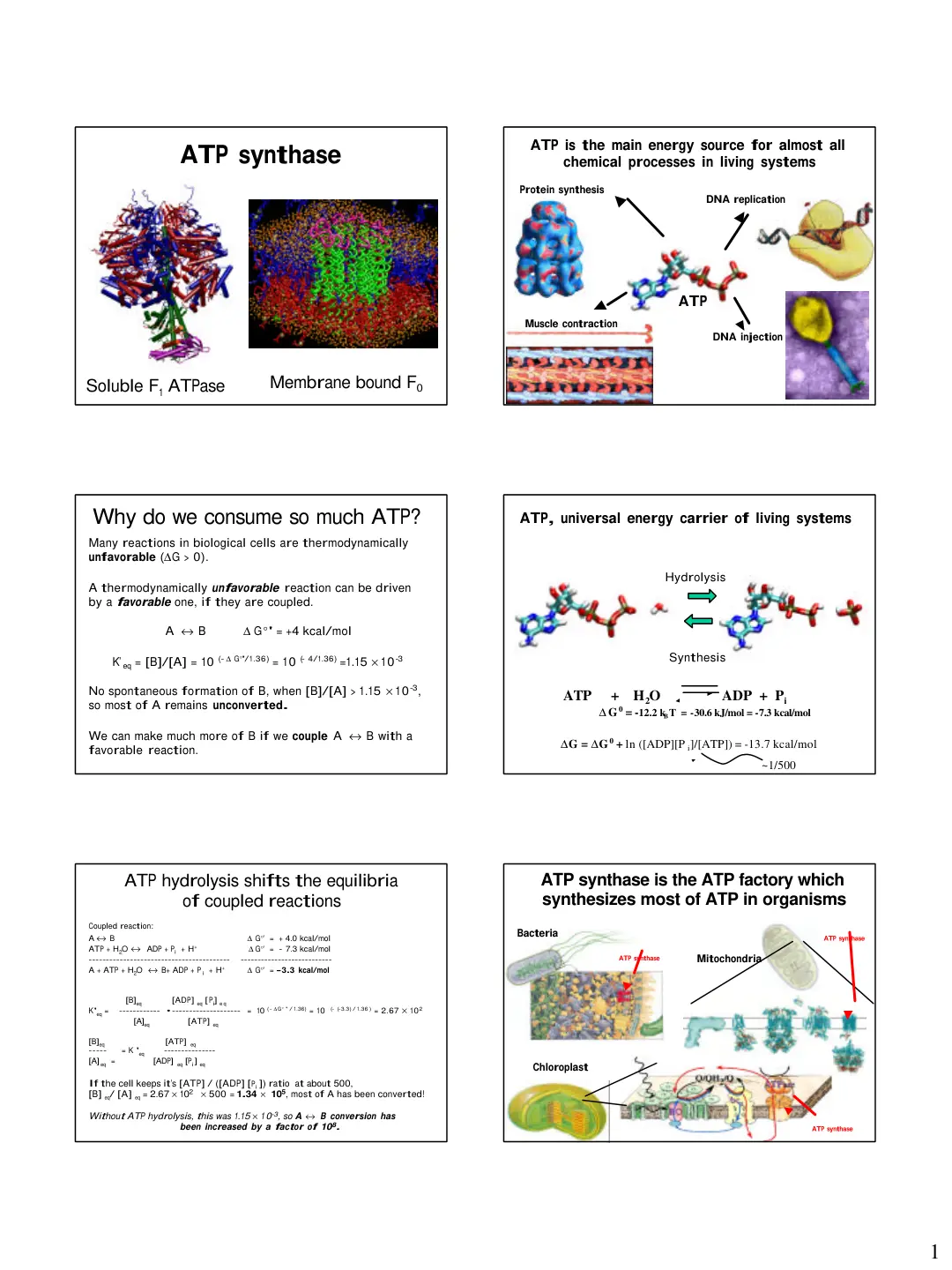 غلاف تقرير ATP synthase