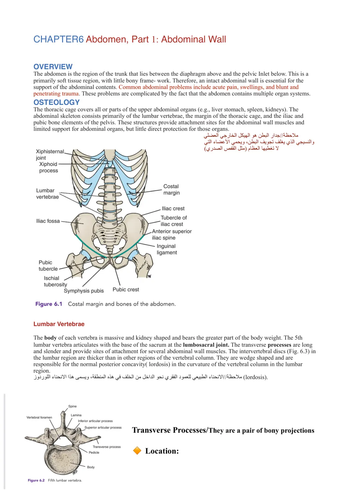 غلاف تقرير CHAPTER 6 Abdomen, Part 1: Abdominal Wall