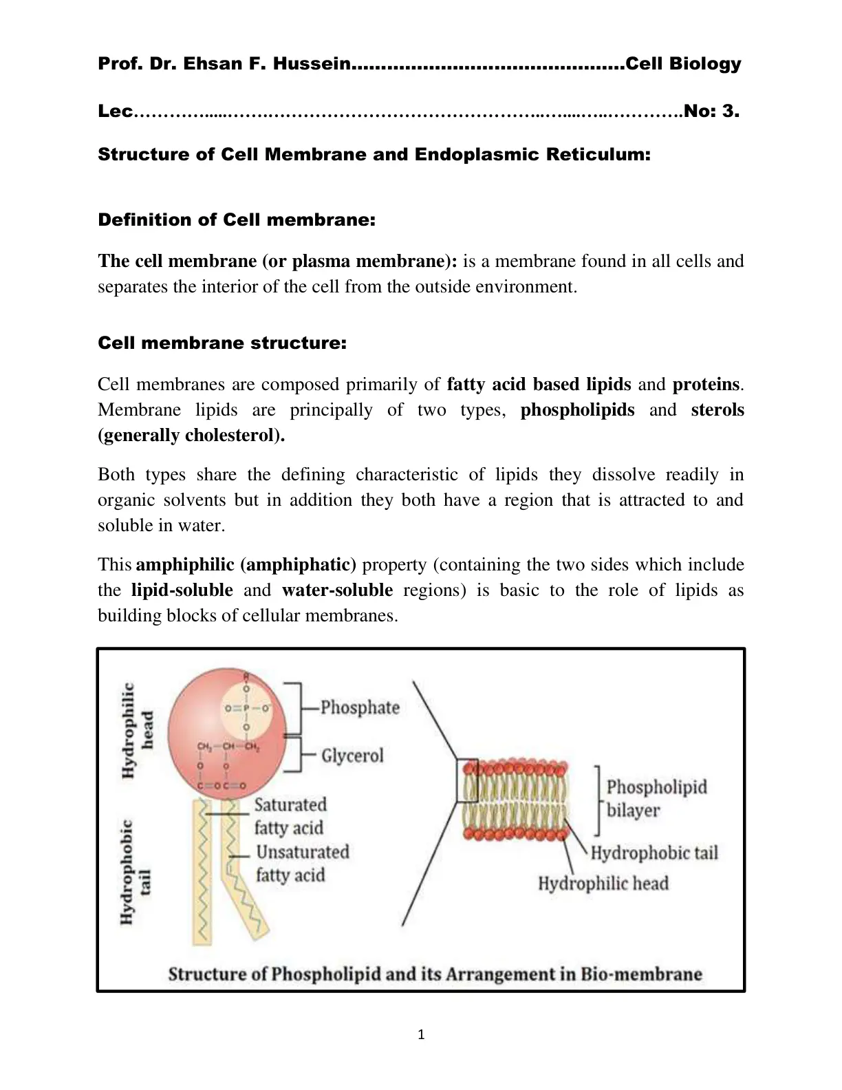 غلاف تقرير Structure of Cell Membrane and Endoplasmic Reticulum