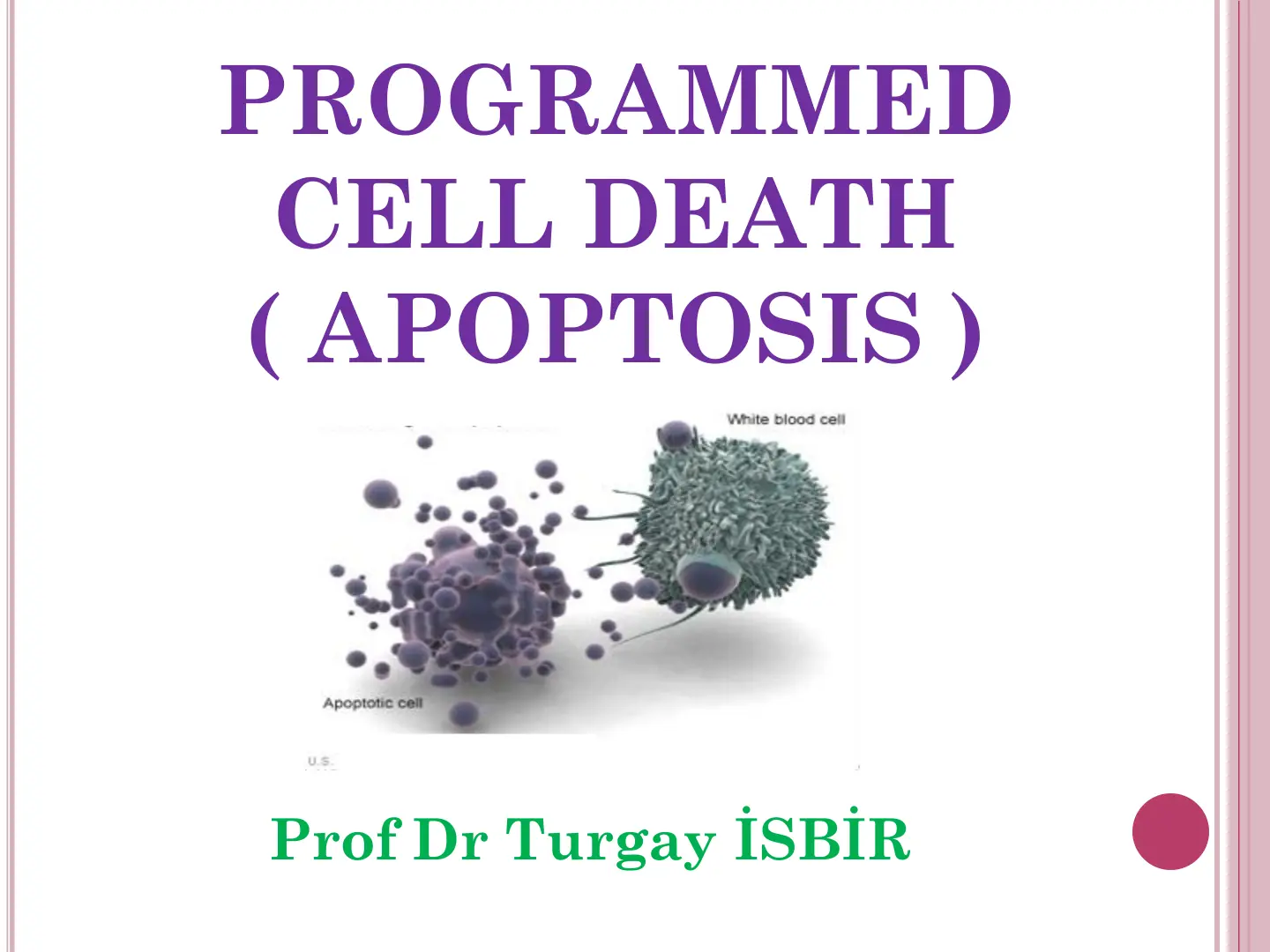 غلاف تقرير PROGRAMMED CELL DEATH (APOPTOSIS)