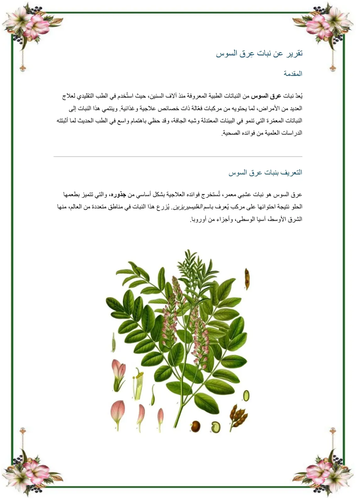 غلاف تقرير تقرير عن نبات عرق السوس