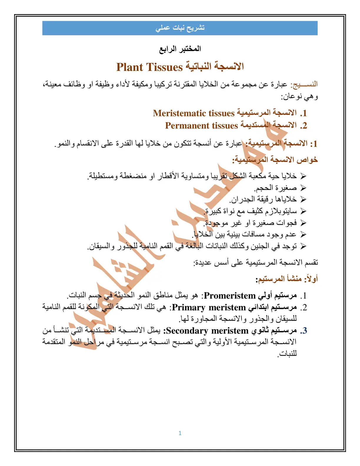 غلاف تقرير تشريح نبات عملي - المختبر الرابع