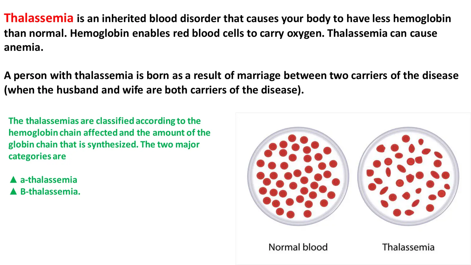 غلاف تقرير Thalassemia