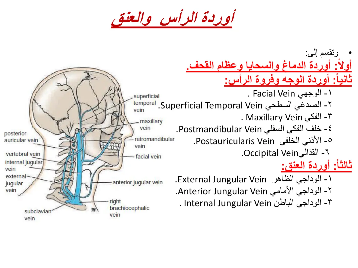 غلاف تقرير أوردة الرأس والعنق