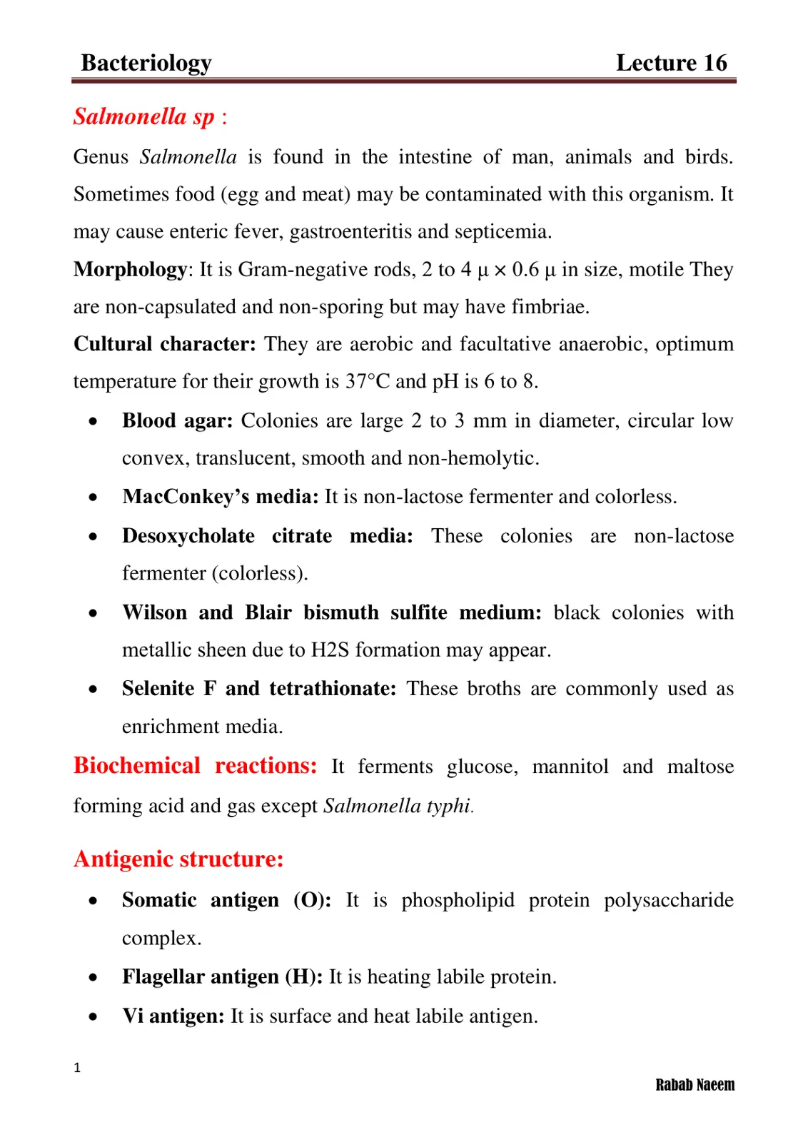 غلاف تقرير Bacteriology Lecture 16: Salmonella sp