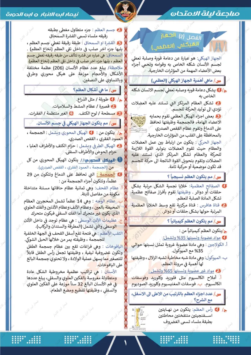 غلاف تقرير مراجعة ليلة الامتحان الفصل (2) الجهاز الهيكلي (العظمي)