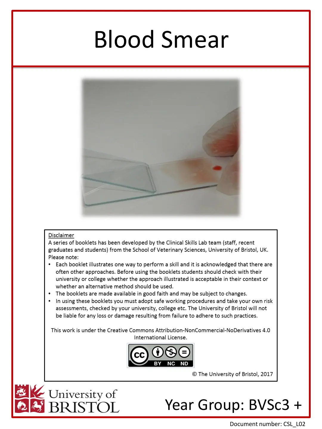 غلاف تقرير Blood Smear
