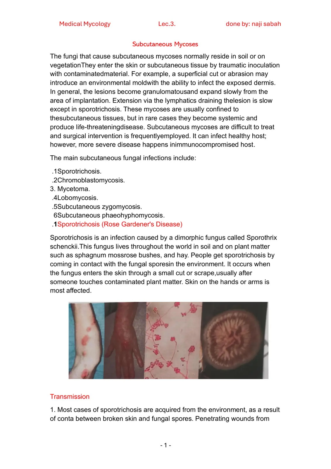 غلاف تقرير Medical Mycology Lec.3. Subcutaneous Mycoses