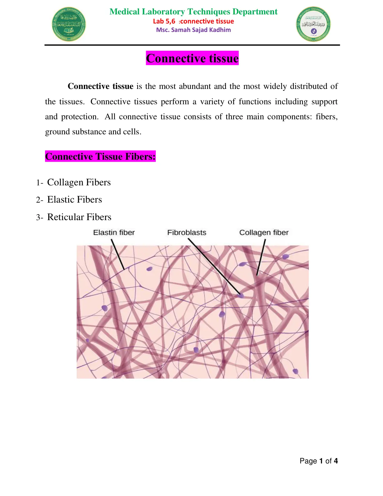 غلاف تقرير Lab 5,6 :connective tissue