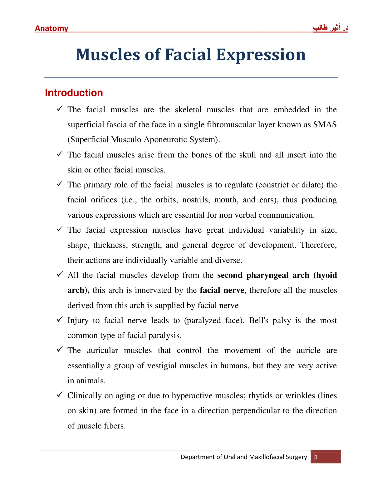غلاف تقرير Anatomy Muscles of Facial Expression