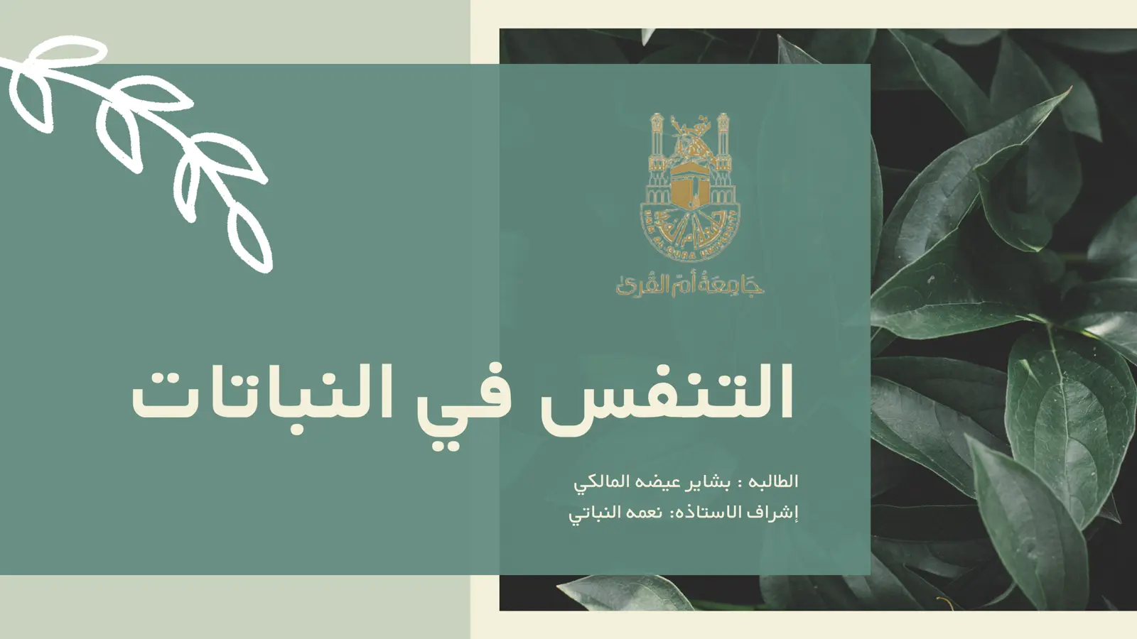 غلاف تقرير التنفس في النباتات
