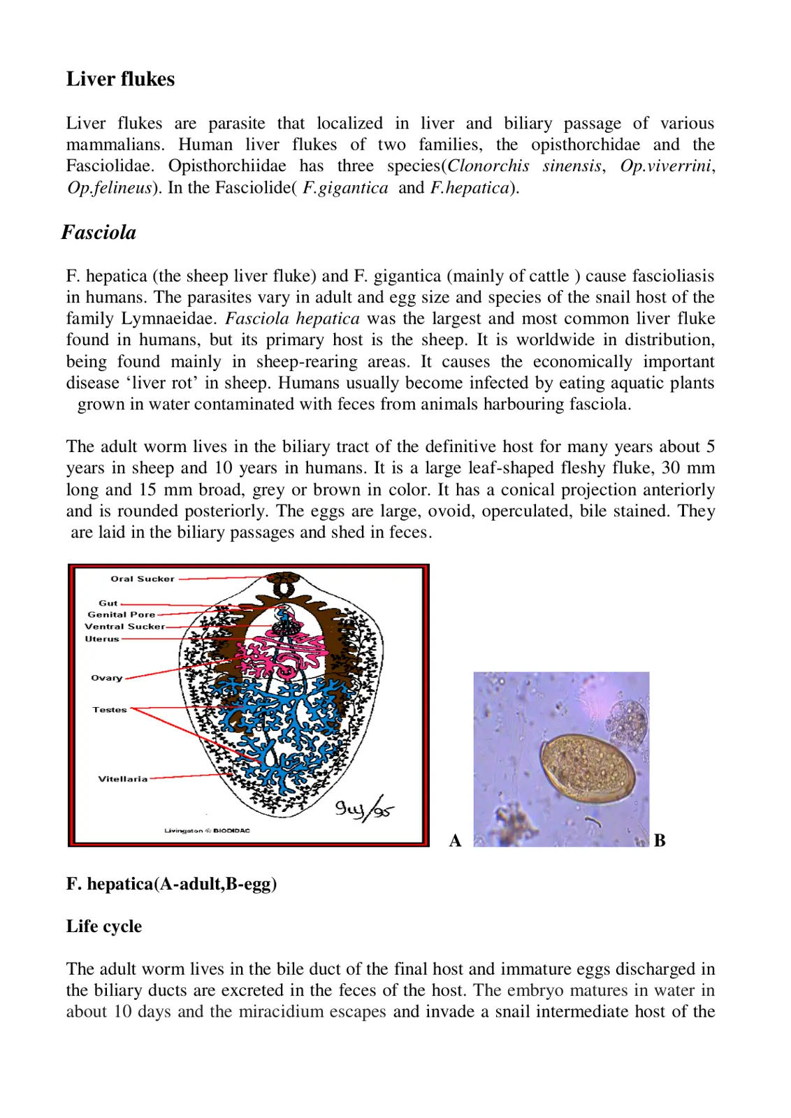 غلاف تقرير Liver flukes