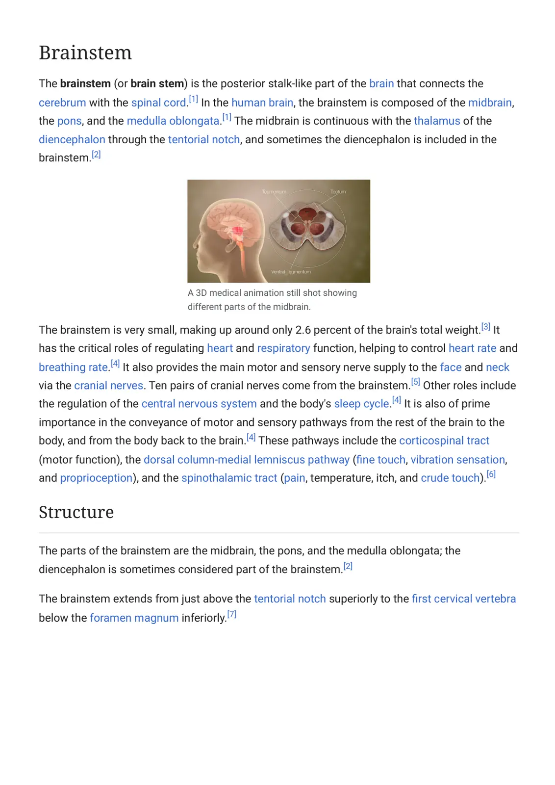 غلاف تقرير Brainstem