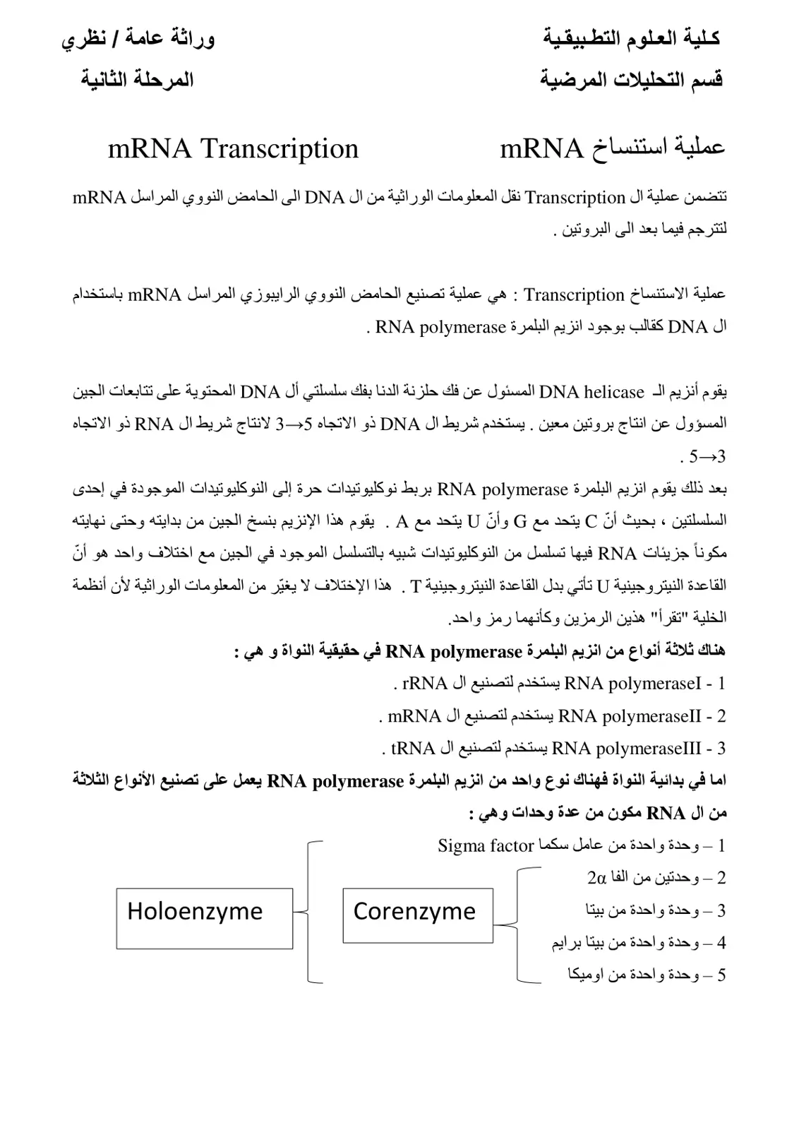 غلاف تقرير عملية استنساخ mRNA - وراثة عامة نظري