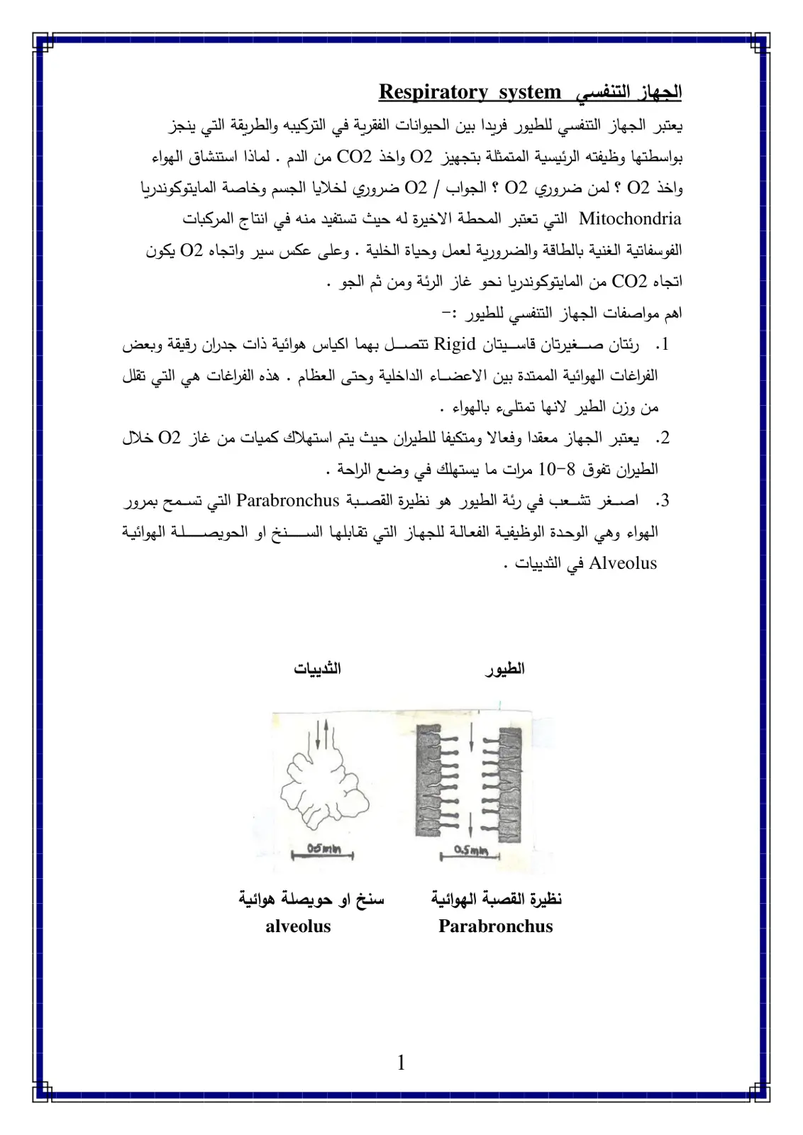 غلاف تقرير الجهاز التنفسي Respiratory system