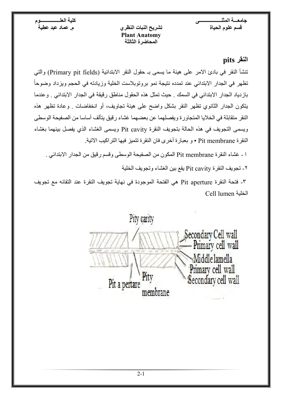 غلاف تقرير تشريح النبات النظري – المحاضرة الثالثة: النقر Pits