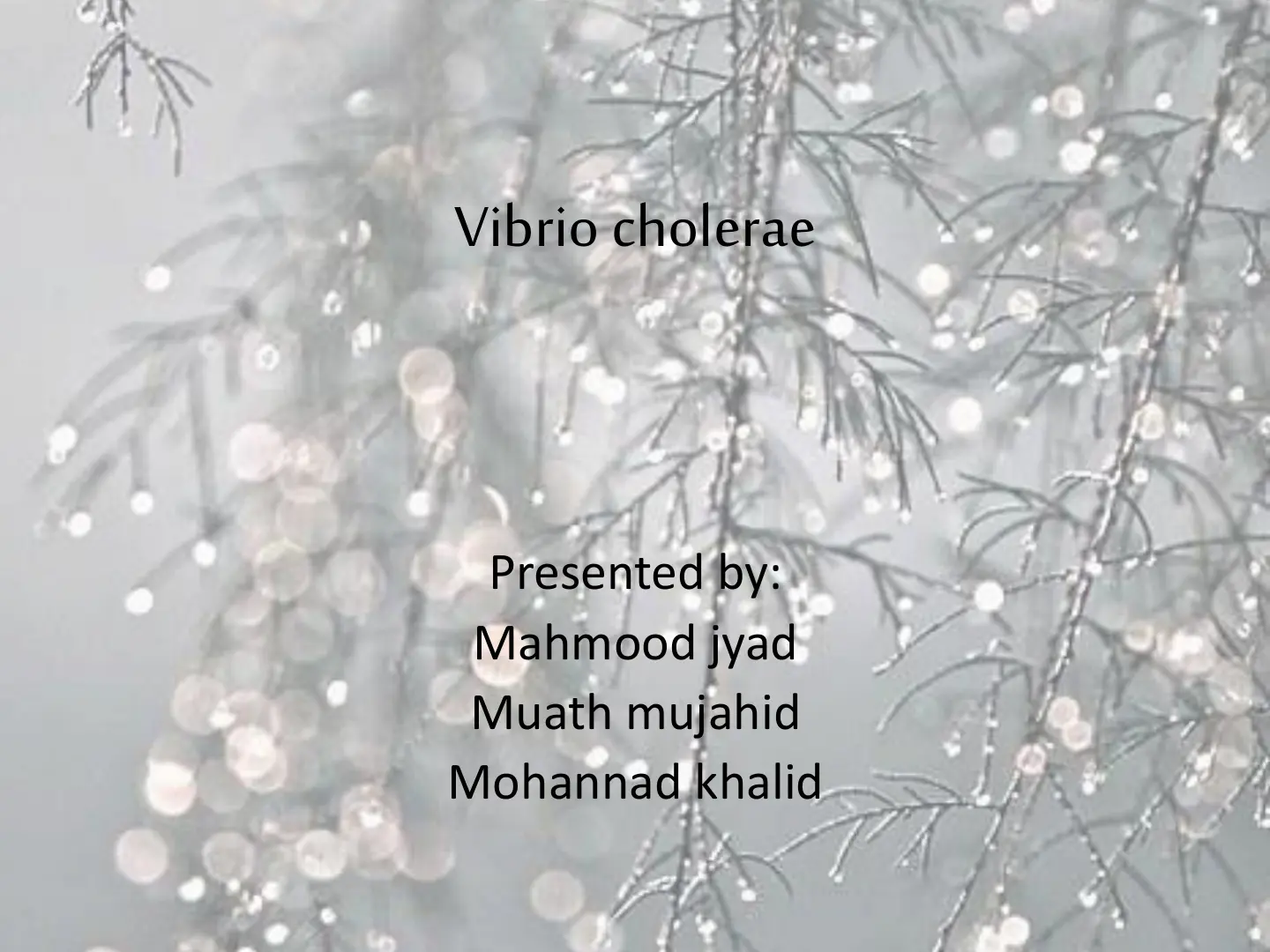 غلاف تقرير Vibrio cholerae