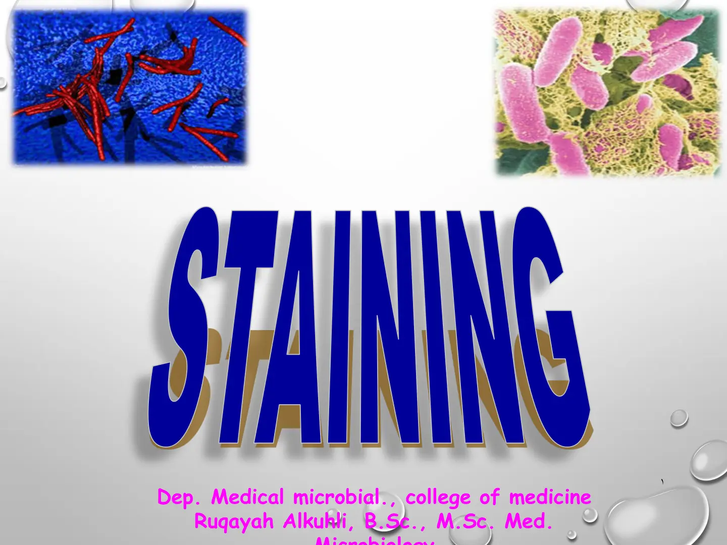 غلاف تقرير STAINING