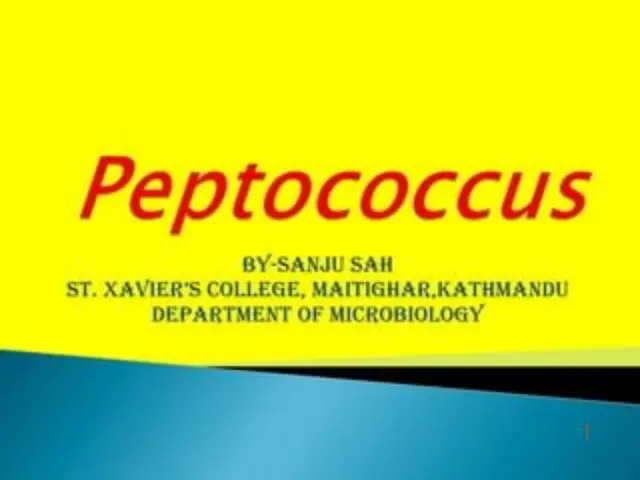غلاف تقرير Peptococcus