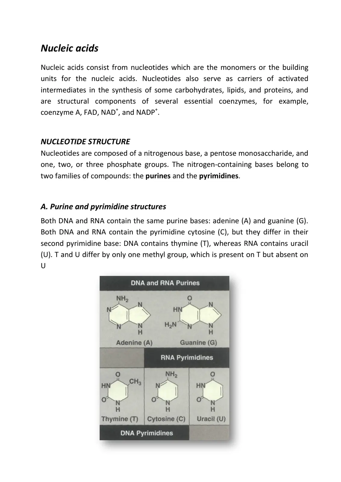 غلاف تقرير Nucleic acids