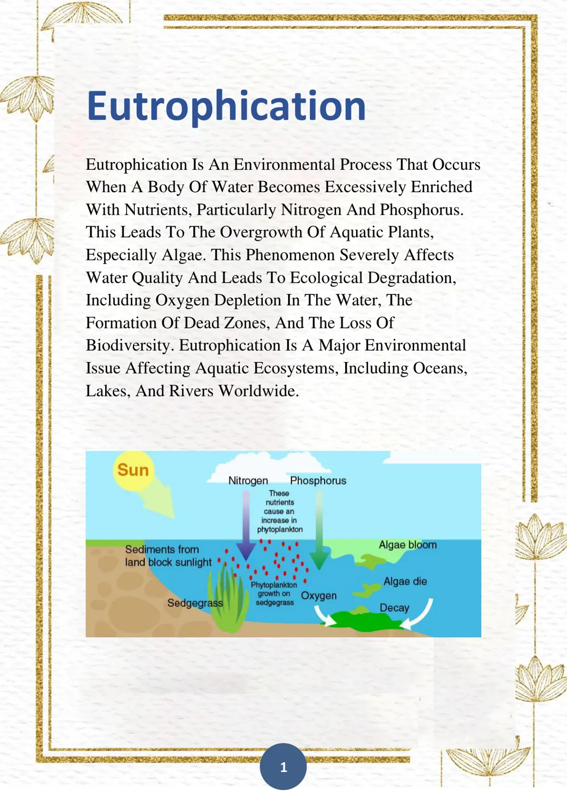 غلاف تقرير Eutrophication