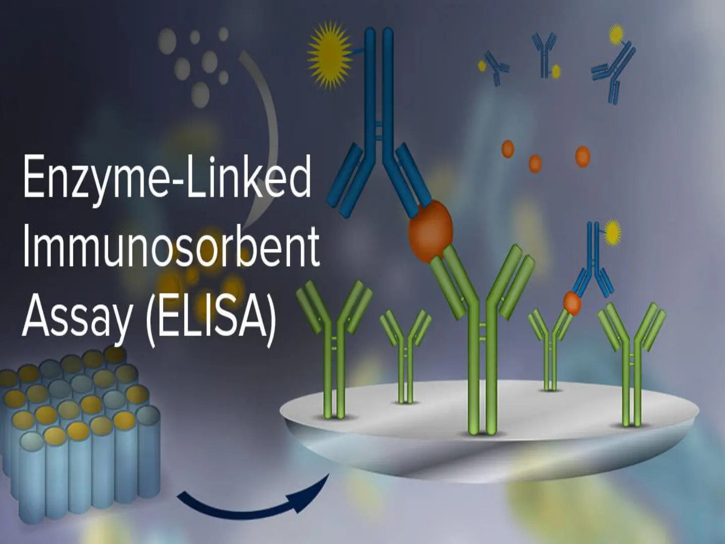 غلاف تقرير Enzyme-Linked Immunosorbent Assay (ELISA)