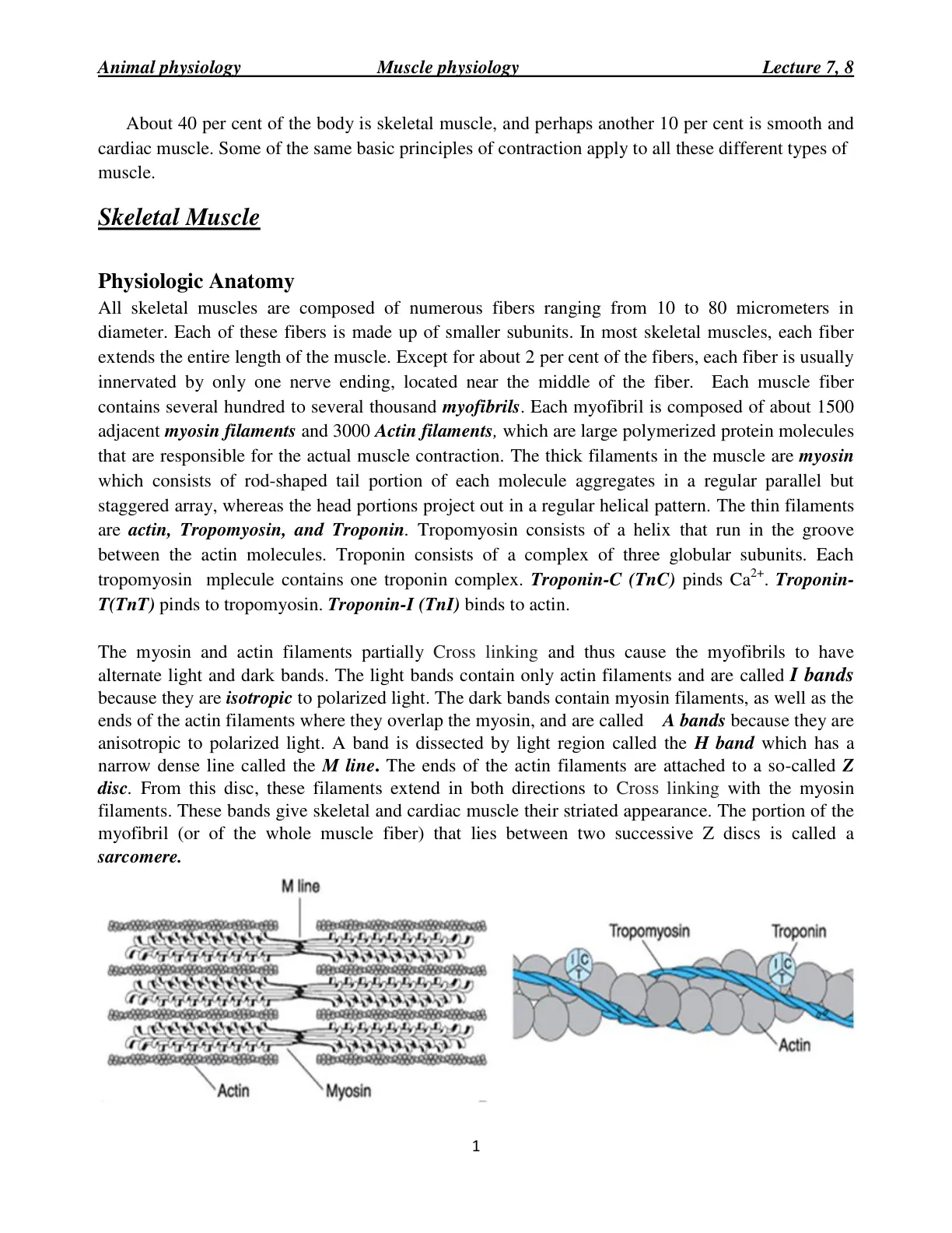 غلاف تقرير Animal physiology: Muscle physiology