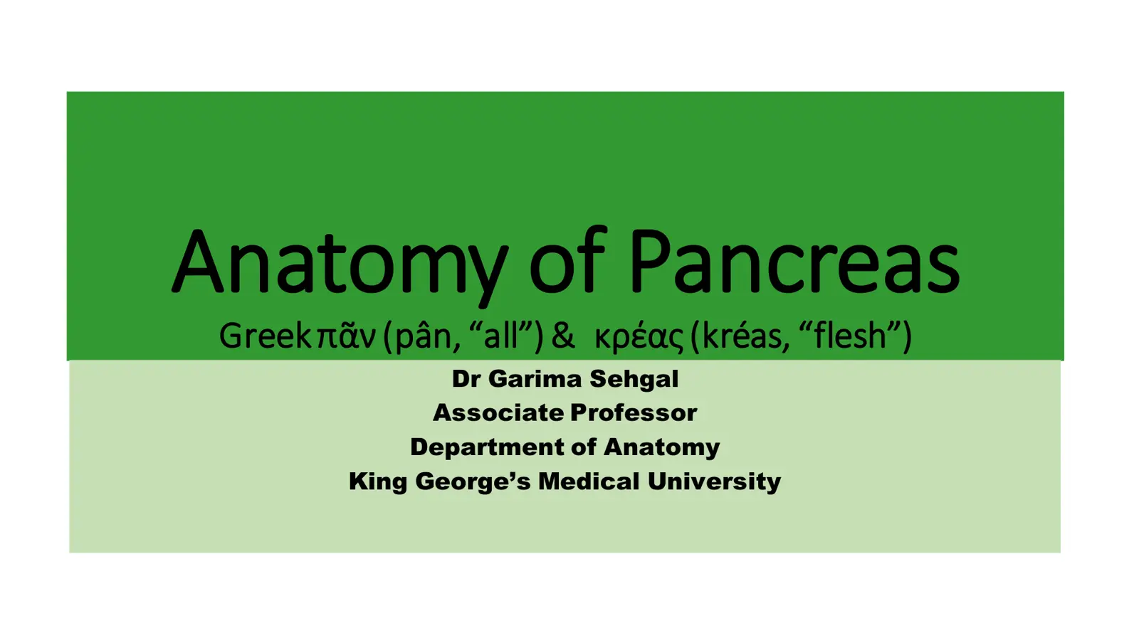 غلاف تقرير Anatomy of Pancreas