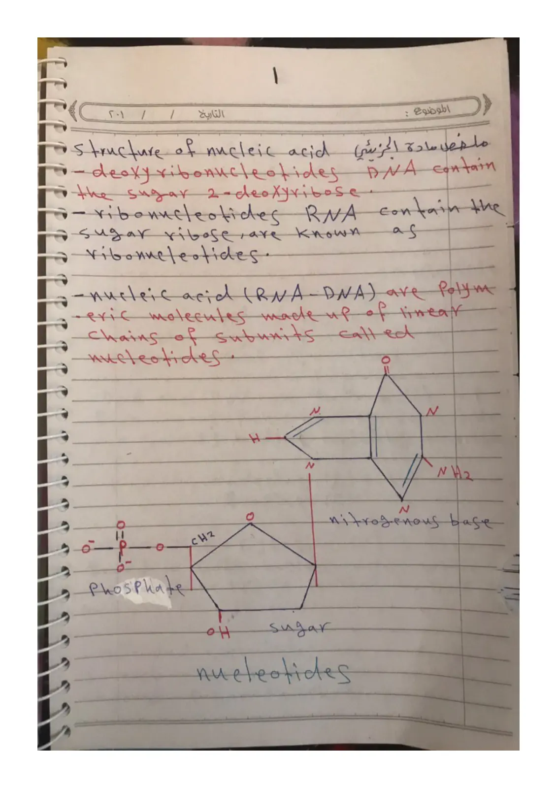 غلاف تقرير Structure of nucleic acid