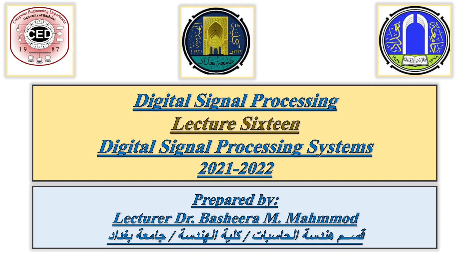 غلاف تقرير Digital Signal Processing Systems