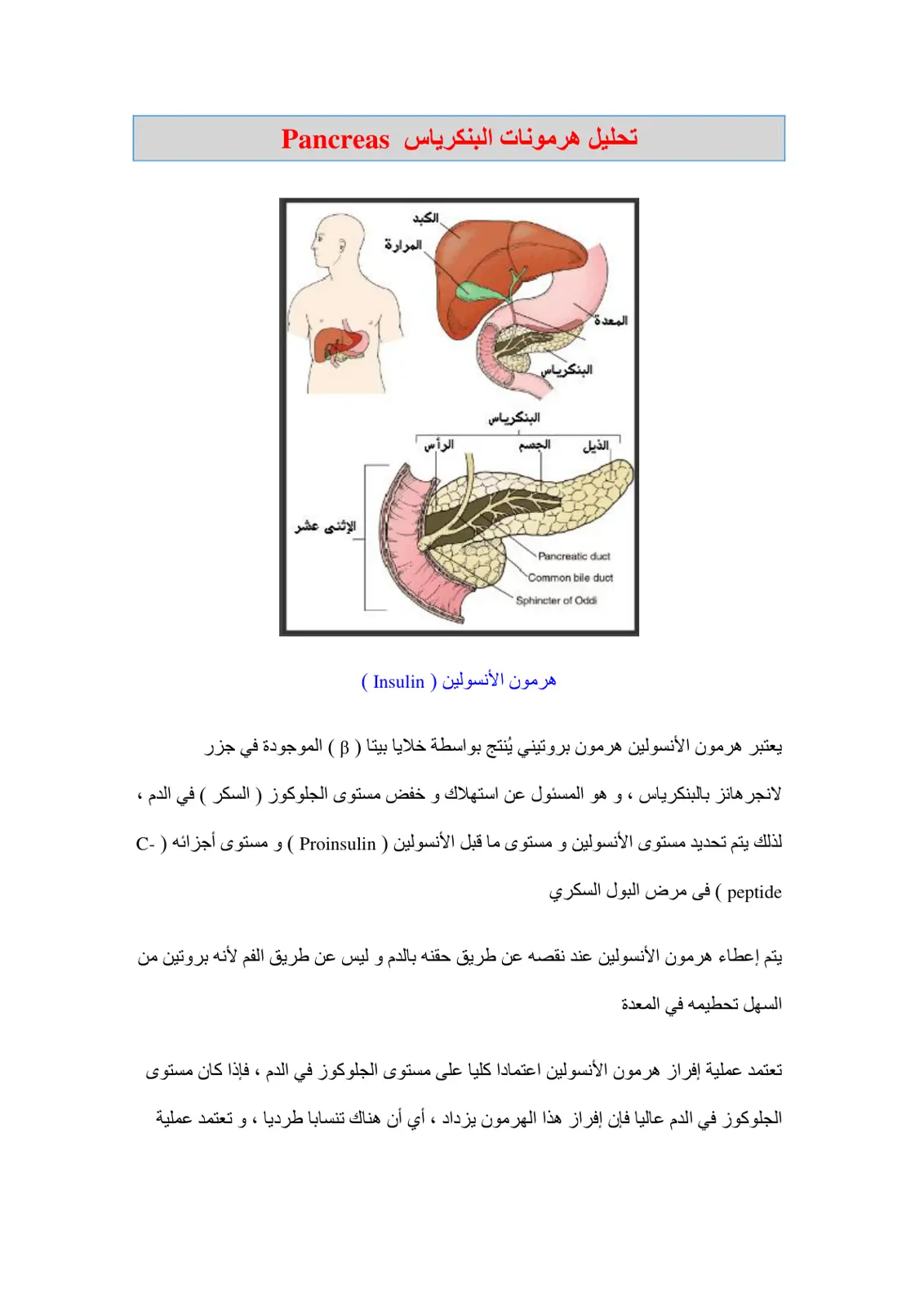 غلاف تقرير تحليل هرمونات البنكرياس Pancreas
