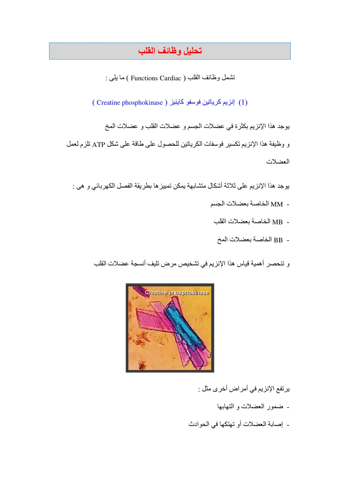 غلاف تقرير تحليل وظائف القلب