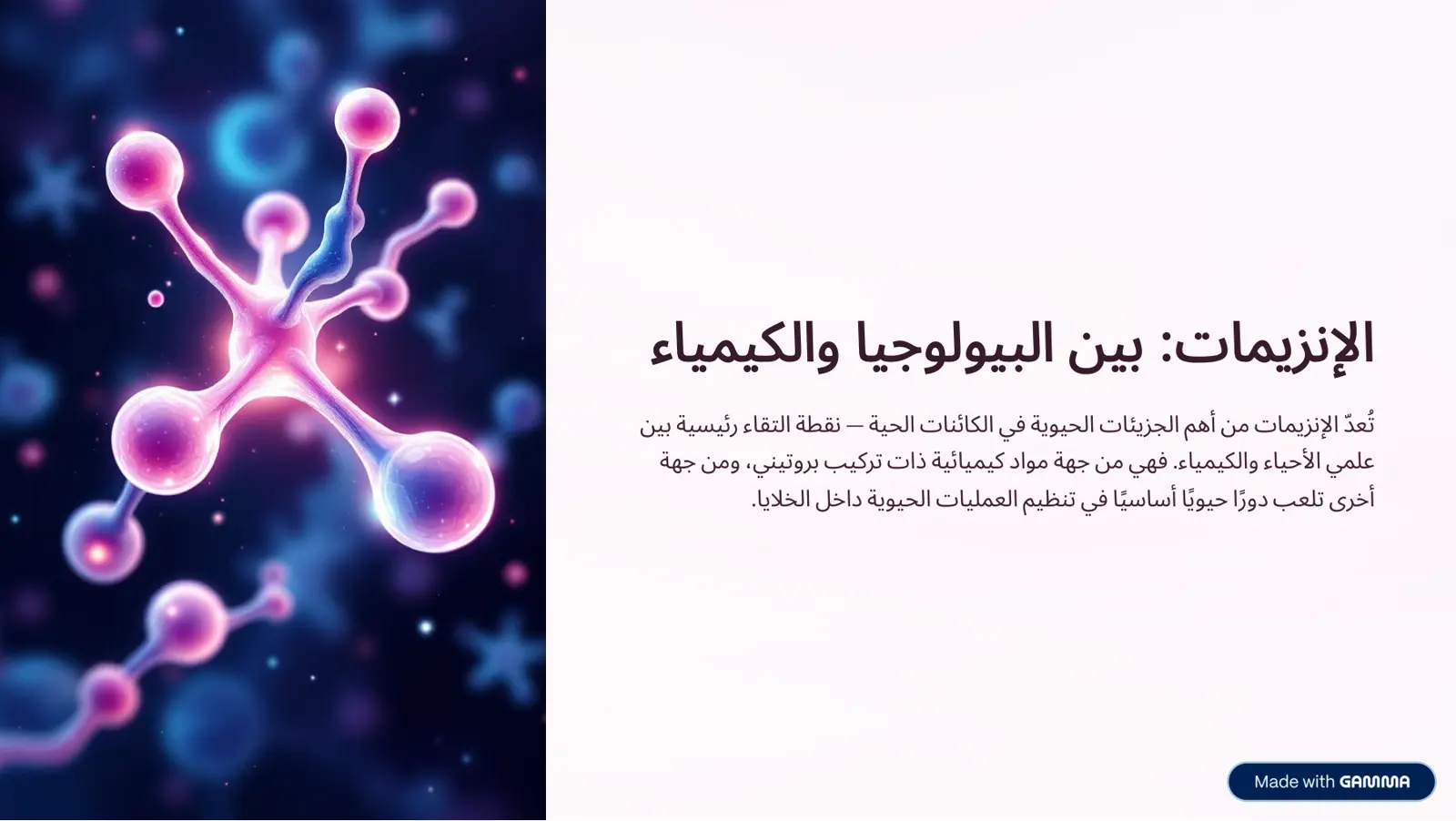 غلاف تقرير الإنزيمات بين البيولوجيا والكيمياء