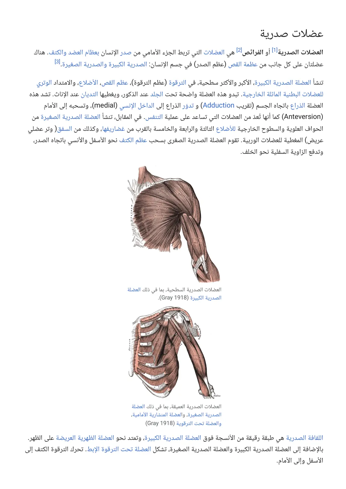 غلاف تقرير عضلات صدرية
