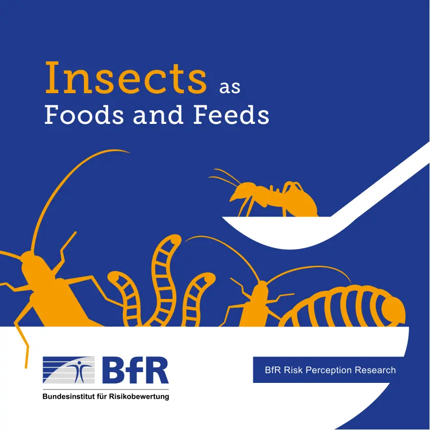 غلاف تقرير Insects as Foods and Feeds: BfR Risk Perception Research