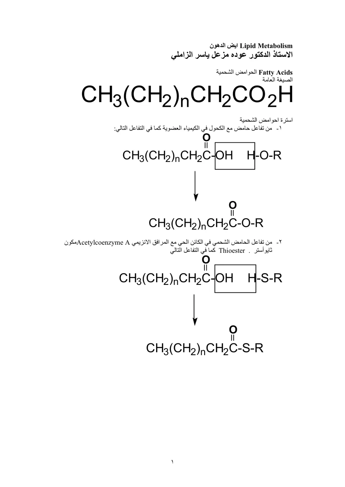 غلاف تقرير Lipid Metabolism ايض الدهون