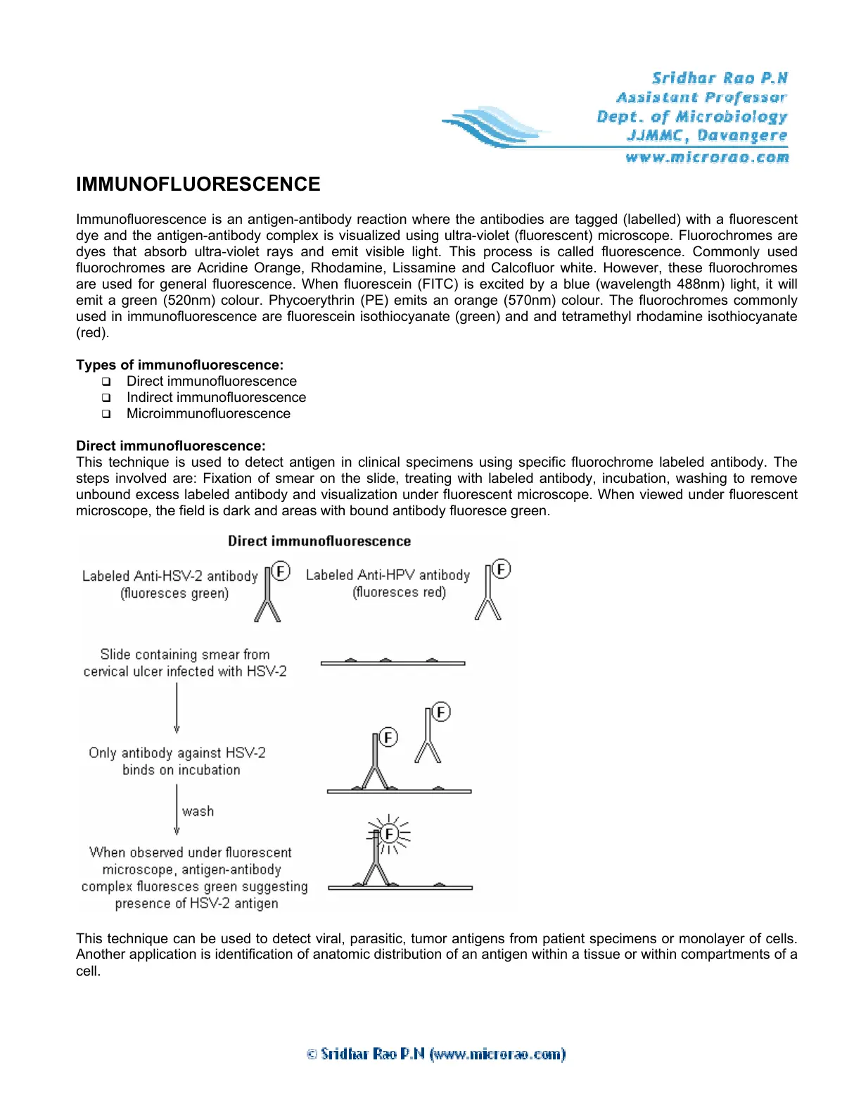غلاف تقرير IMMUNOFLUORESCENCE