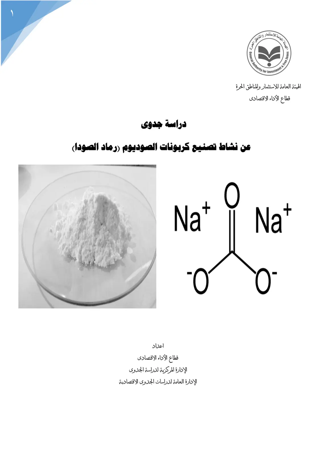 غلاف تقرير دراسة جدوى عن نشاط تصنيع كربونات الصوديوم (رماد الصودا)