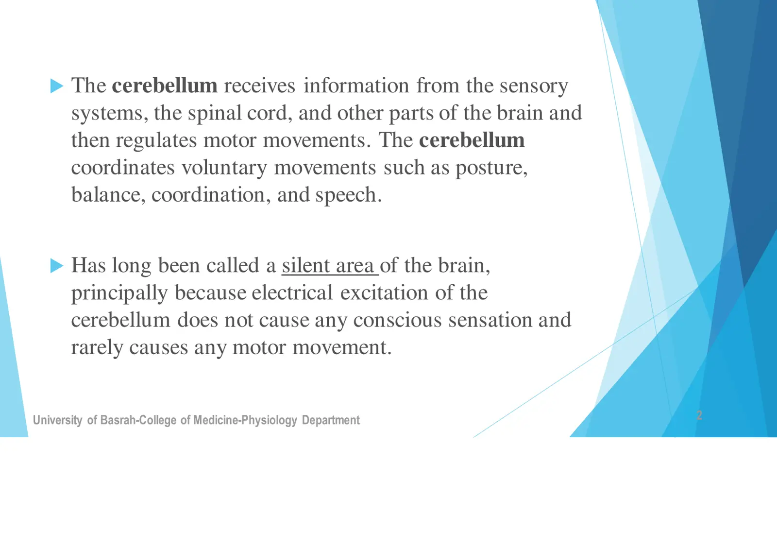 غلاف تقرير The Cerebellum - University of Basrah - College of Medicine - Physiology Department