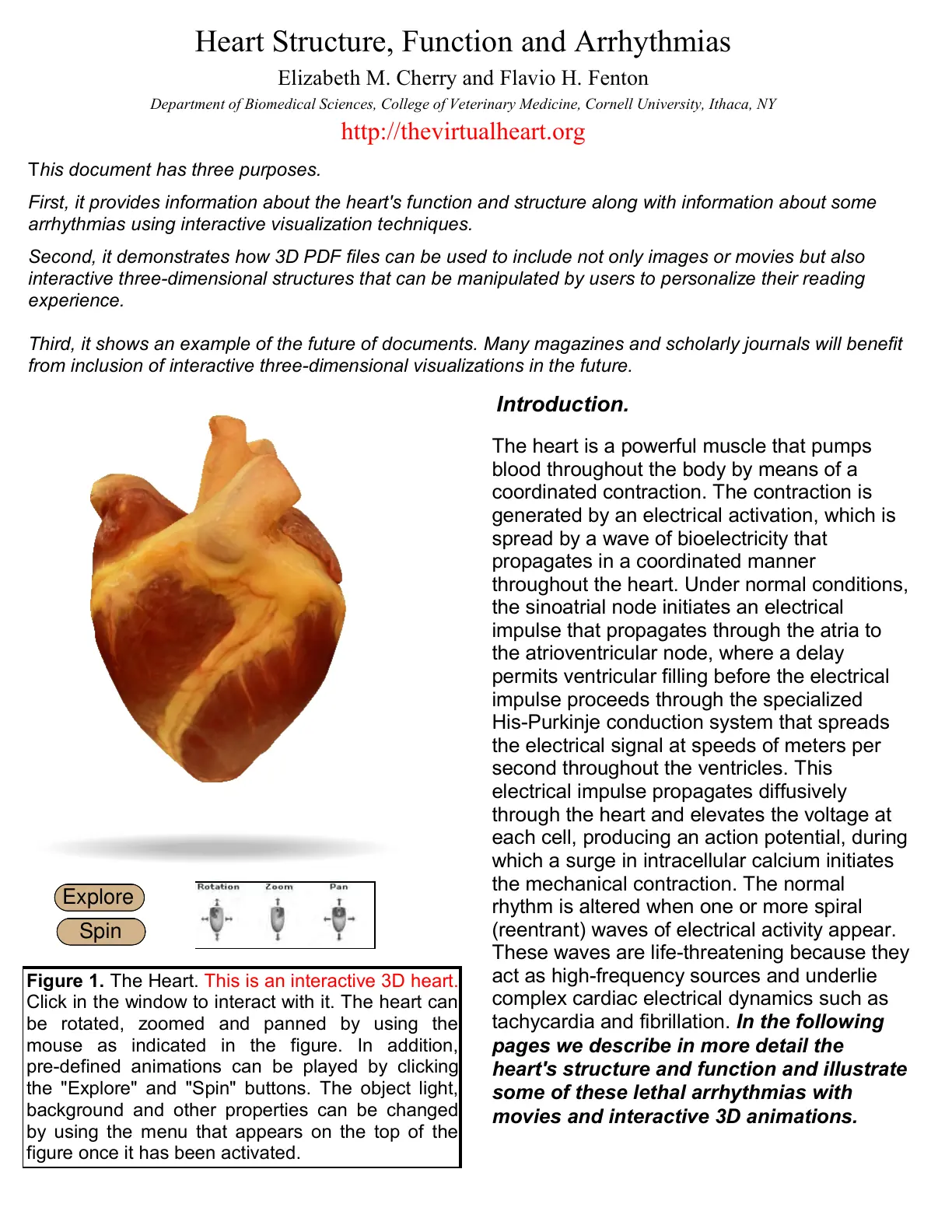 غلاف تقرير Heart Structure, Function and Arrhythmias