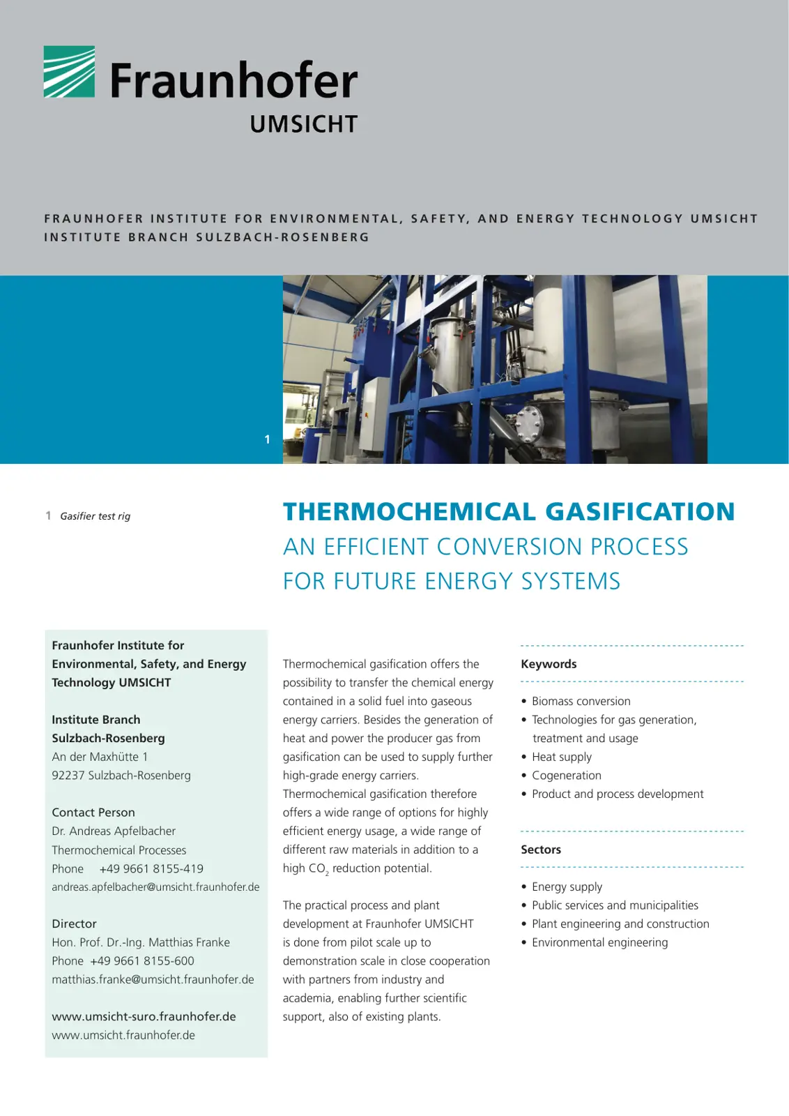 غلاف تقرير Thermochemical Gasification - An Efficient Conversion Process for Future Energy Systems