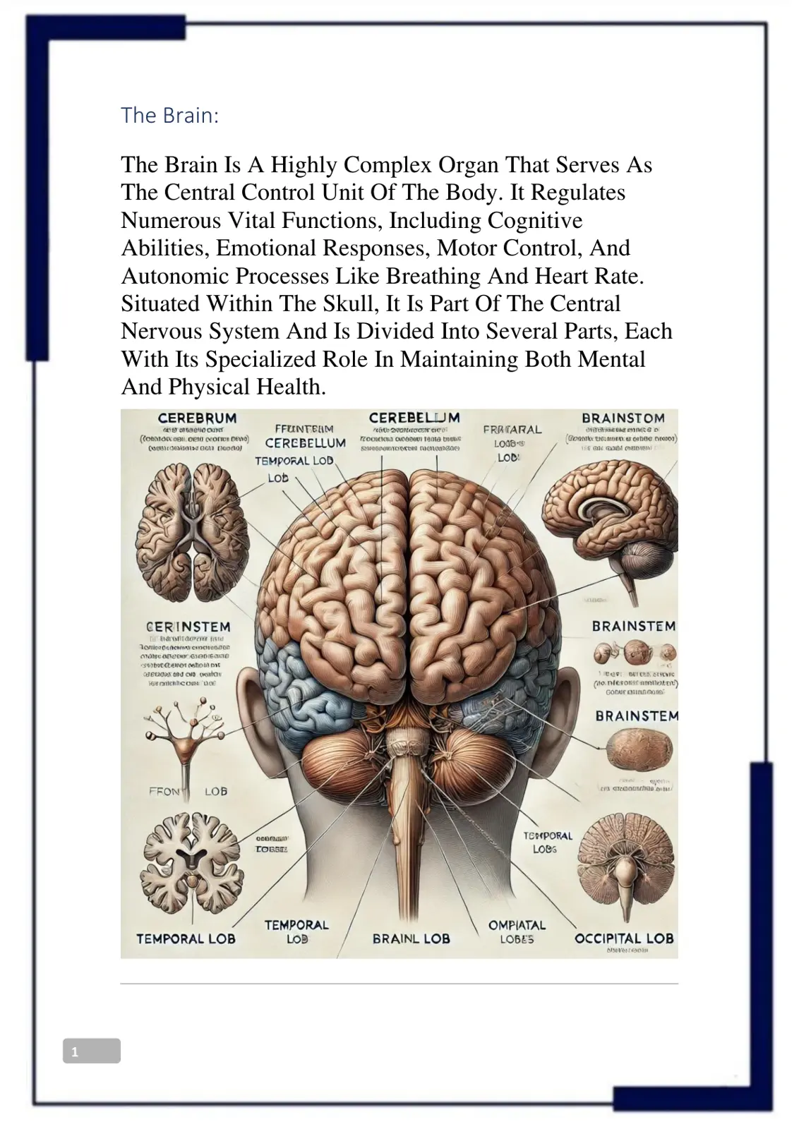 غلاف تقرير The Brain: