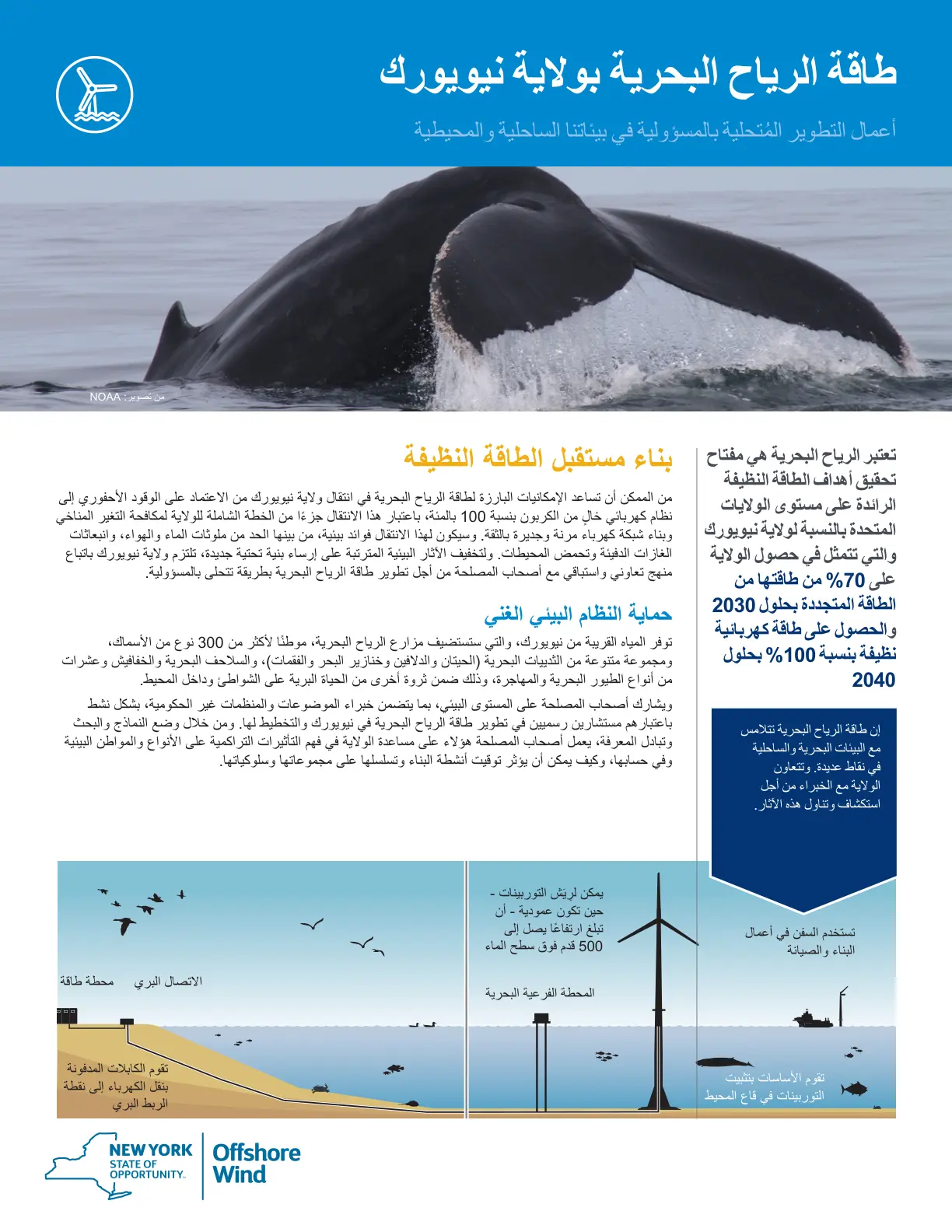 غلاف تقرير طاقة الرياح البحرية بولاية نيويورك