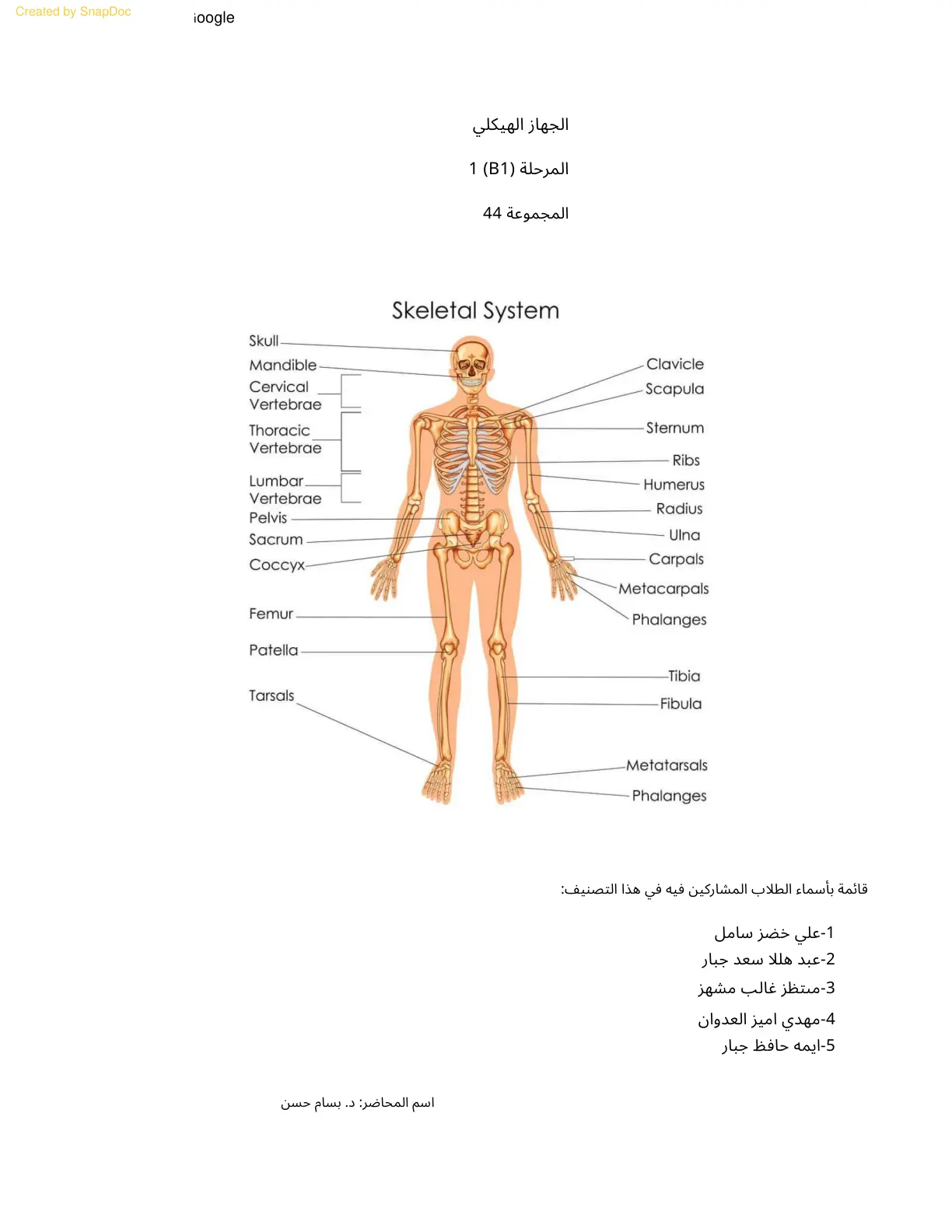 غلاف تقرير الجهاز الهيكلي