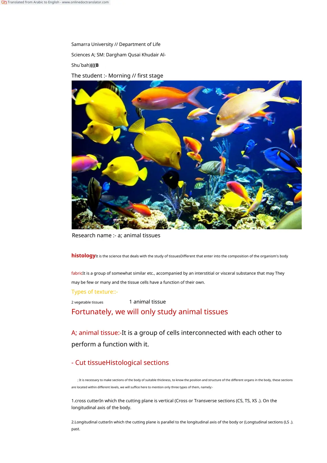 غلاف تقرير animal tissues histology
