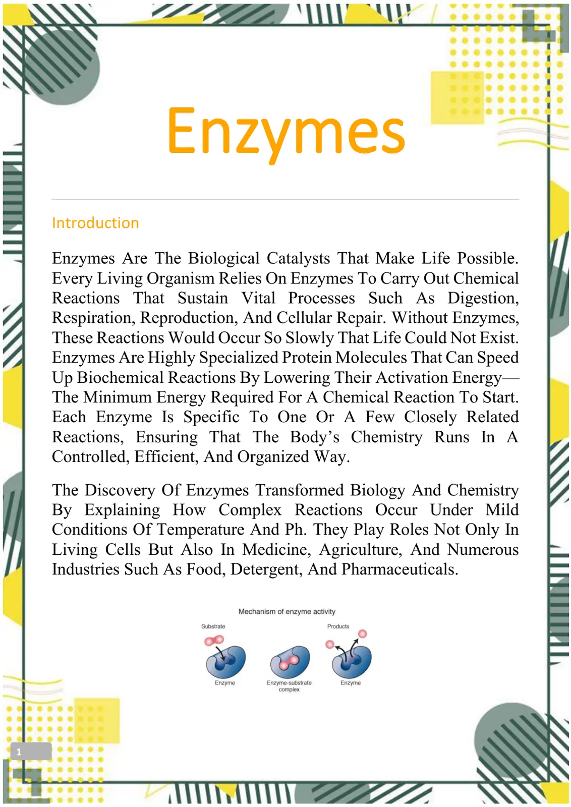 غلاف تقرير Enzymes