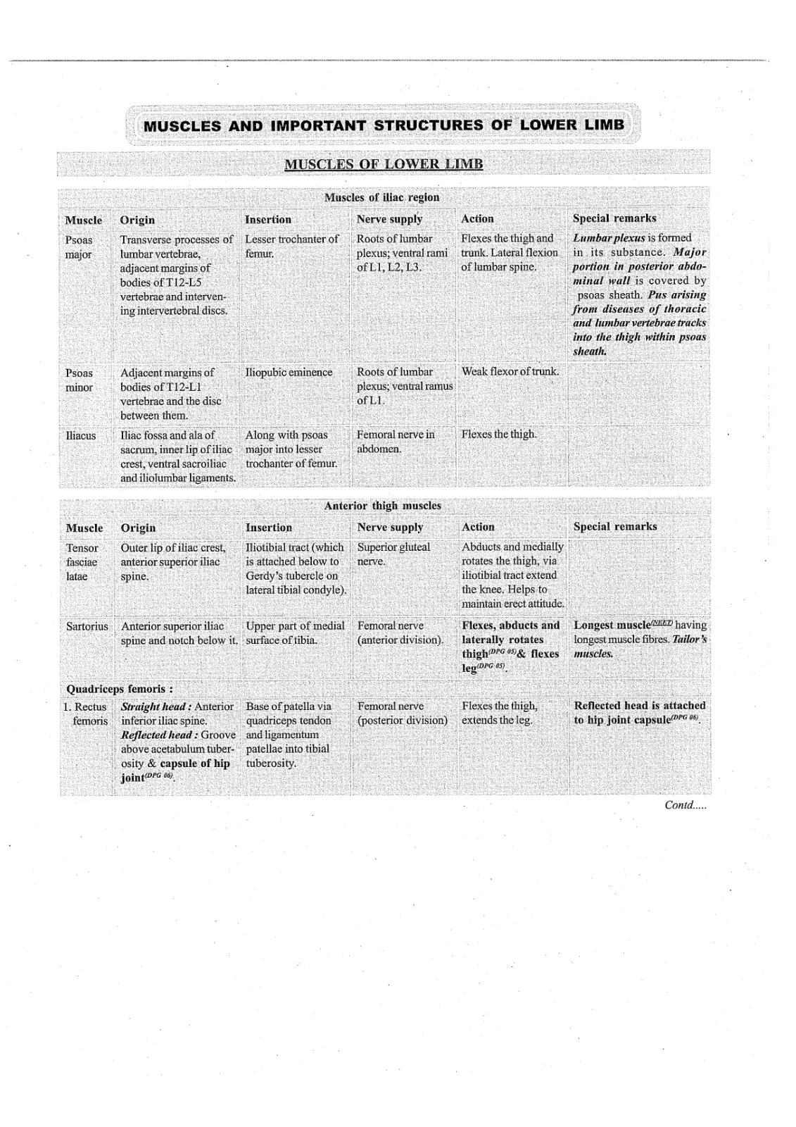 غلاف تقرير Muscles and Important Structures of Lower Limb