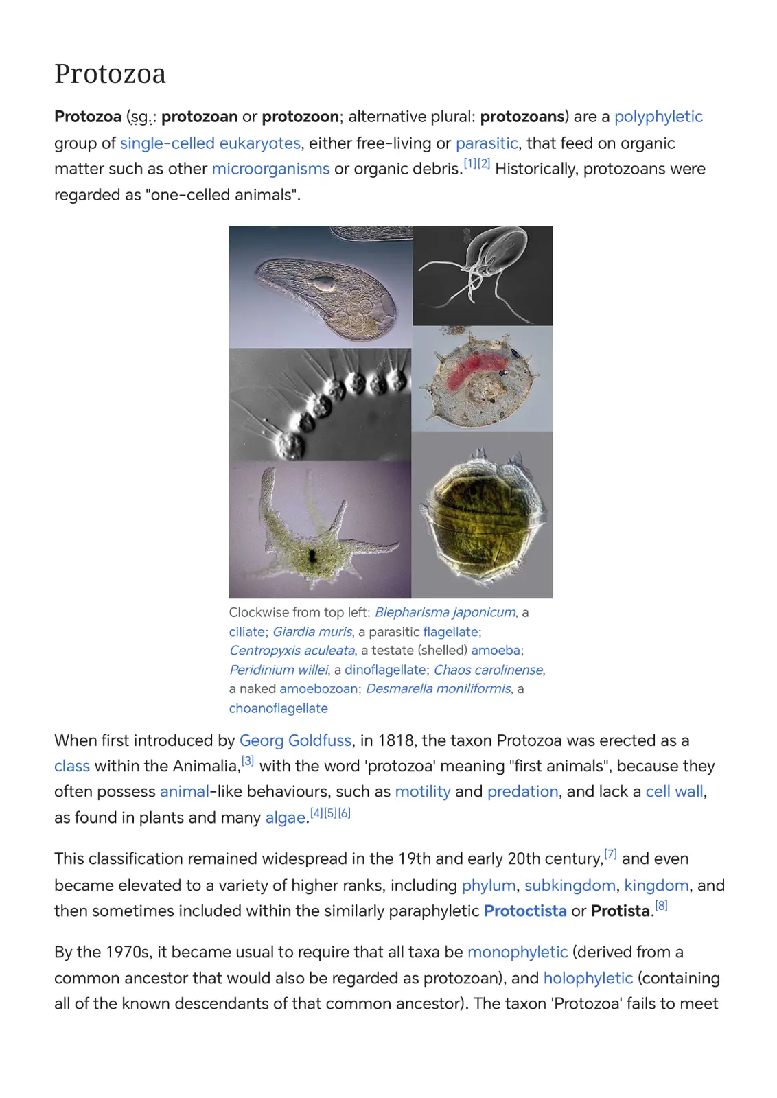 غلاف تقرير Protozoa